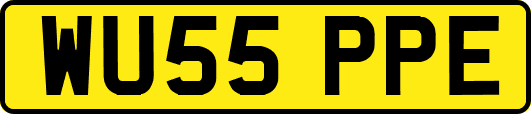 WU55PPE