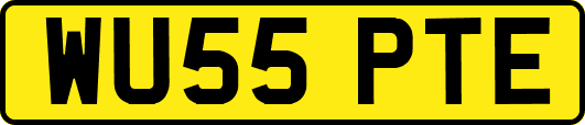 WU55PTE