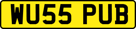 WU55PUB