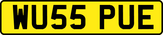 WU55PUE
