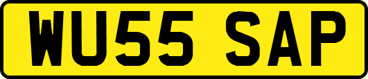 WU55SAP