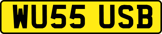 WU55USB