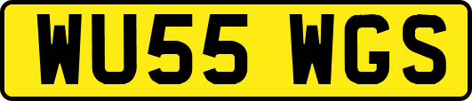 WU55WGS