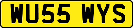 WU55WYS