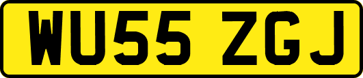 WU55ZGJ