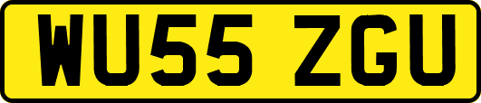 WU55ZGU