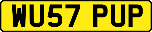 WU57PUP