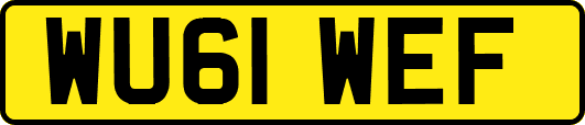 WU61WEF