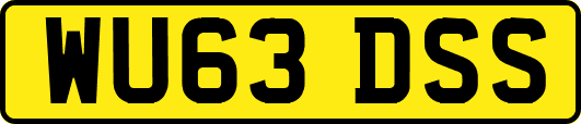 WU63DSS