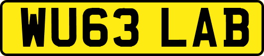 WU63LAB