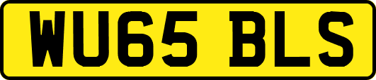 WU65BLS