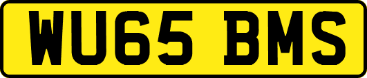 WU65BMS