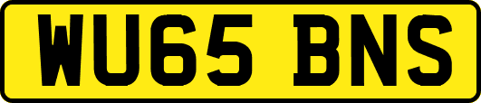 WU65BNS