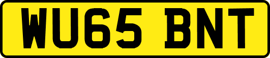 WU65BNT