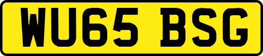 WU65BSG