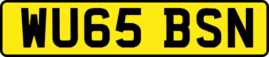 WU65BSN