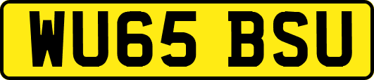 WU65BSU