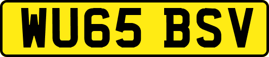 WU65BSV
