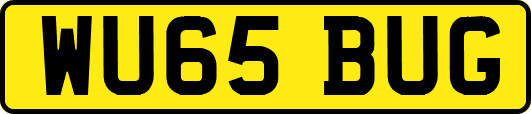 WU65BUG