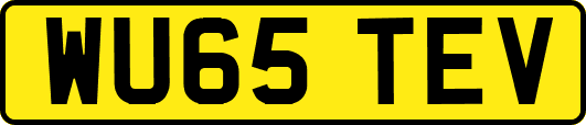 WU65TEV