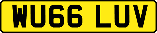 WU66LUV