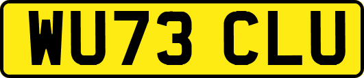 WU73CLU