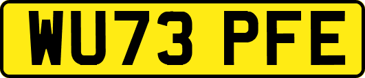 WU73PFE