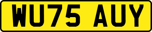 WU75AUY