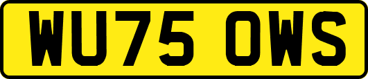 WU75OWS