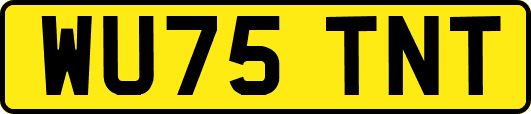 WU75TNT