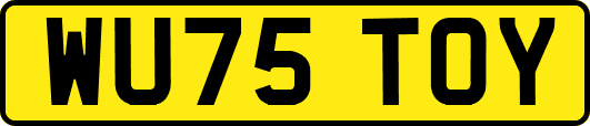 WU75TOY