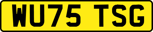 WU75TSG