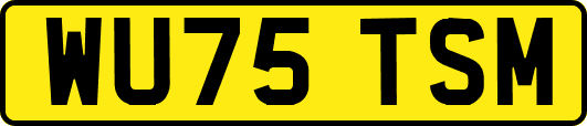 WU75TSM