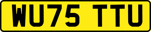 WU75TTU