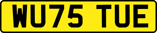 WU75TUE