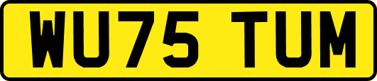 WU75TUM