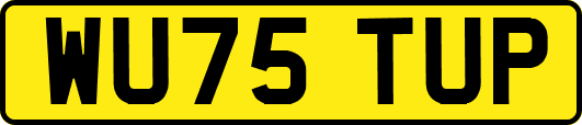 WU75TUP