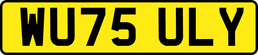 WU75ULY