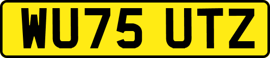 WU75UTZ