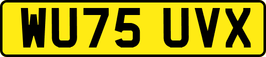 WU75UVX