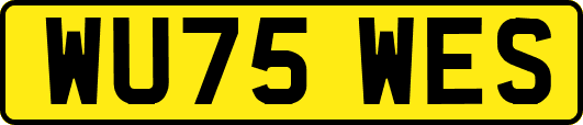 WU75WES