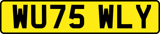 WU75WLY