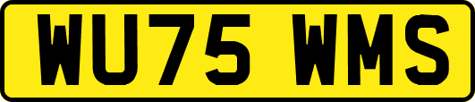 WU75WMS