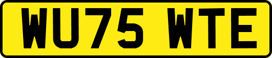 WU75WTE