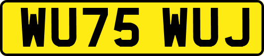 WU75WUJ