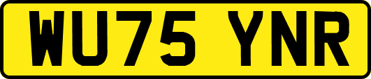 WU75YNR