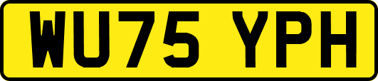 WU75YPH