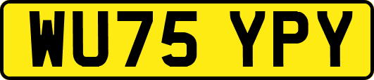 WU75YPY