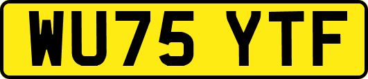 WU75YTF