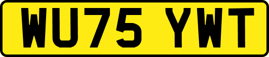 WU75YWT